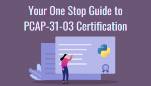 Valid Exam PCAP-31-03 Preparation