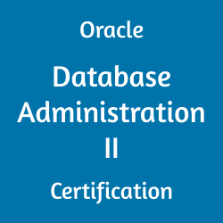 1Z0-083: Oracle Database Certification Guide