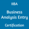 [ECBA] Exam: Acquire the Materials to Start A Successful IIBA Entry Sns-Brigh10